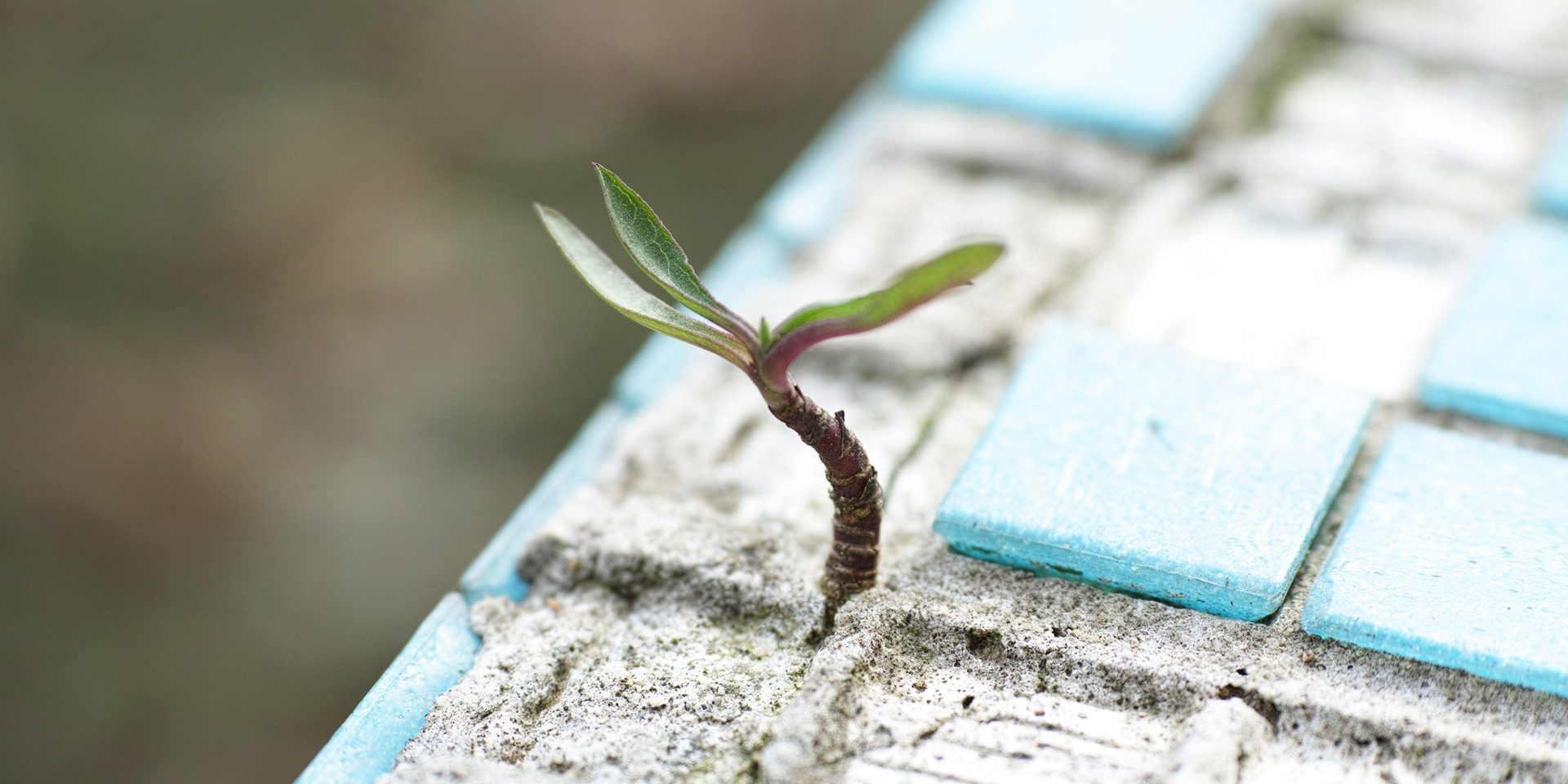 Positive Psychology Coaching for Enhancing Resilience Positive Psychology Coaching for Enhancing Resilience